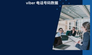 viber 电话号码数据