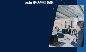 zalo 电话号码数据